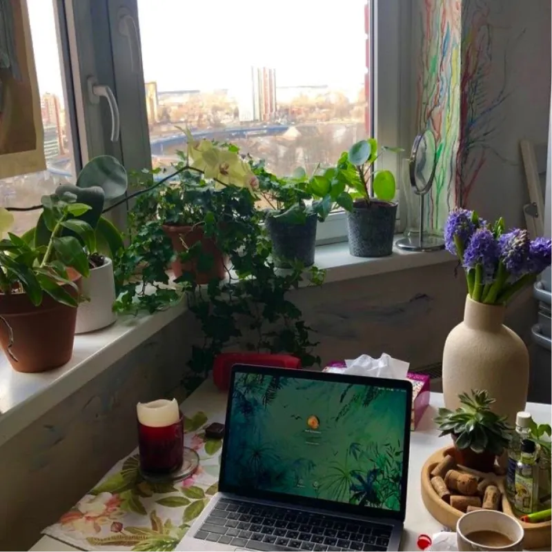 Um notebook numa janela ensolarada entre plantas